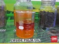 Pemerintah Yakin Bea Masuk Impor Sawit RI Rugikan Uni Eropa