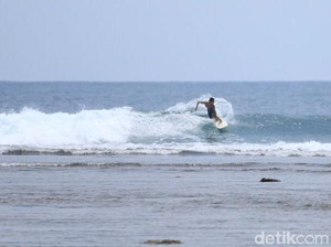 7 Lokasi Surfing Populer di Lampung, Cocok Bagi Peselancar Baru-Profesional