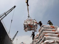 Buwas Sebut Harga Beras di RI Dikendalikan Segelintir Orang