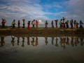 Abaikan Protes PBB, India Deportasi 7 Rohingya ke Myanmar