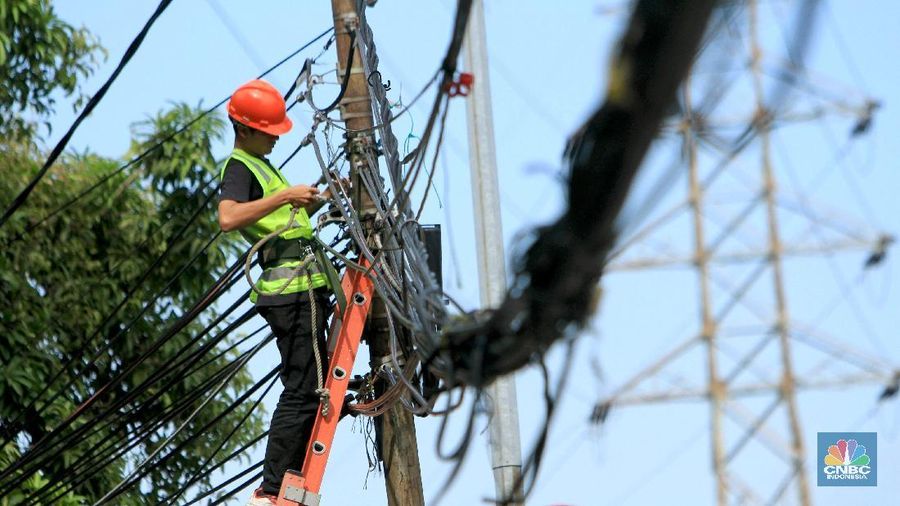 PLN