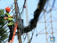 FOTO: Aksi Petugas PLN Merawat Jaringan Listrik Berkala