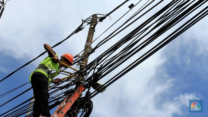 pln PLN