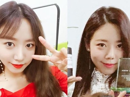 Netizen Heboh, Wajah Namjoo Apink Berubah Diduga Operasi Plastik Netizen Heboh, Wajah Namjoo Apink Berubah Diduga Operasi Plastik