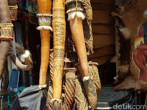 Koteka Berasal dari Daerah Mana? Ini Jawaban dan Penggunaannya