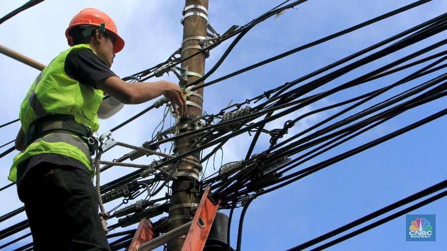 PLN