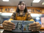 Eksportir Parkir Dolar di RI Dapat Cuan Banyak, Sampai Kapan?