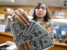 Misi DHE Sukses! BI Rebut US$ 173 Juta dan Langsung Parkir