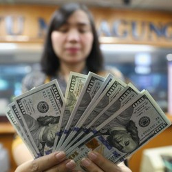 BI & 2 Bank Sentral Ini Perkuat Aturan Transaksi LN Tanpa Dolar