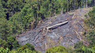 Lahan Kritis di Jawa Disebut Mengkhawatirkan
