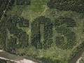 FOTO: Jerit Isi Rimba Raya