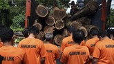 Meski berkali-kali ditangkap polisi, hal itu tidak membuat jera sindikat pembalakan liar. Hal itu juga diakibatkan oleh lemahnya penegakan hukum dan ganjaran yang relatif ringan. (ANTARA FOTO/Ardyansyah/foc/18).