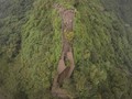 Forest Stewardship Ultimatum Sinar Mas Karena Tebang Hutan