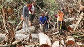 Dengan dalih mencari penghidupan, manusia kerap melakukan perambahan ilegal di hutan. Sebab, mereka tergiur dengan jumlah uang yang dihasilkan dari menjual kayu buat beragam kebutuhan. (ANTARA FOTO/Istafan/Irp/pd/18).