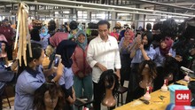 Kampanye Jokowi di Banyuwangi: Jatuh Bangun Itu Biasa