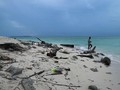 VIDEO: Kecantikan Pantai Derawan Terancam Abrasi