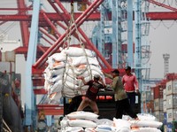Beras Impor Gagal Turunkan Harga di Dalam Negeri