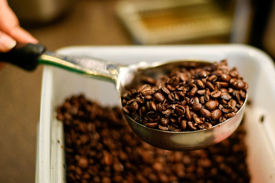 kopi