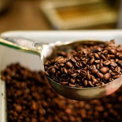 Brasil Raja Kopi Dunia, Produksi Sampai 6x Lebih Banyak dari RI