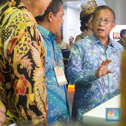 CPO Dilarang, RI Embargo Airbus? Ini Kata Menko Darmin