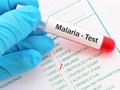 7 Fakta yang Patut Diketahui Seputar Malaria