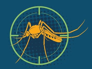 25 April Hari Malaria Sedunia, Begini Sejarah dan Cara Mencegahnya