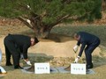 VIDEO: Kim Jong-un dan Moon Jae-in Tanam Pohon Perdamaian