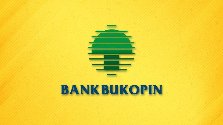 Sejumlah bank dan private equity asing telah menyatakan minat untuk menjadi standby buyer dalam right issue PT Bank Bukopin Tbk