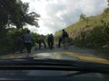 Kronologi Konflik Lahan Tewaskan Warga NTT