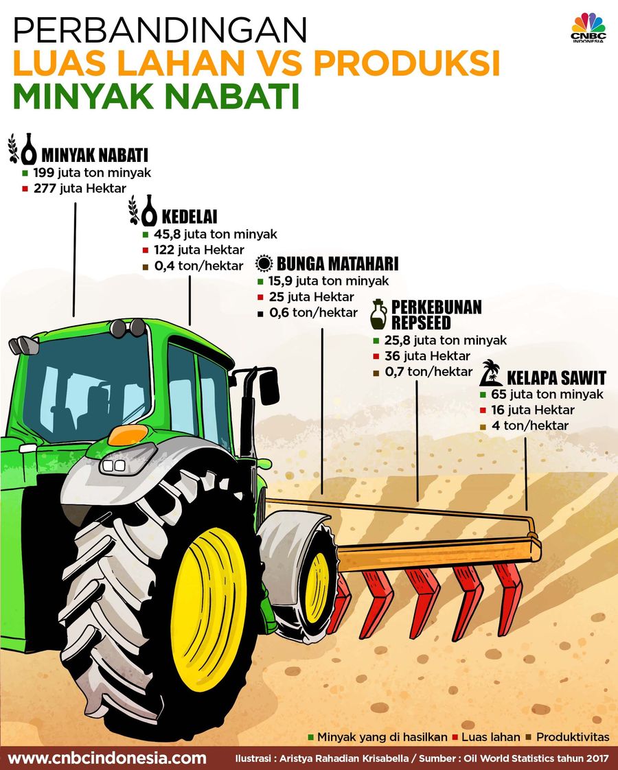 Berikut ini ilustrasi kebutuhan lahan dan jumlah produksi minyak nabati.