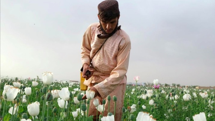 Petani opium di Afghanistan Petani opium di Afghanistan
