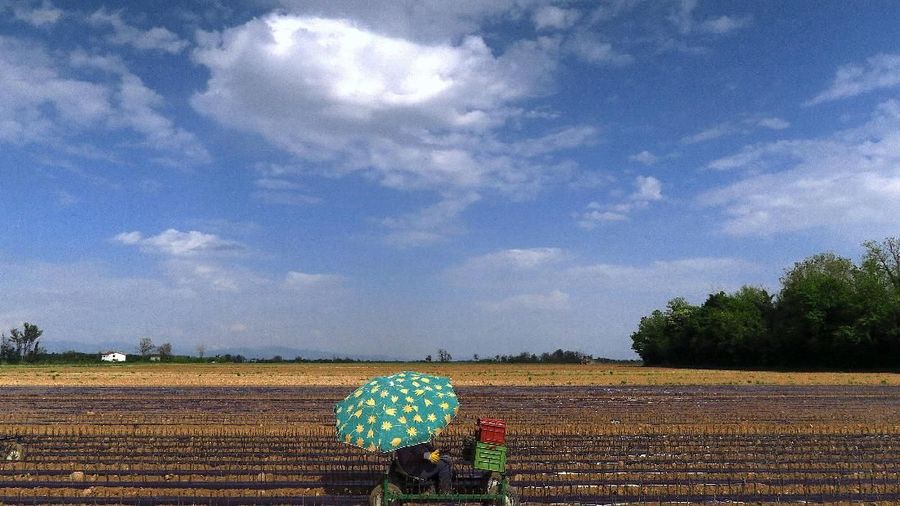 A worker sitting on a cart plants vines of Cabernet Sauvignon grapes in a field on the outskirts of the village of Flaibano, located in the Fruili region of Italy, April 28, 2018. REUTERS/David Gray     TPX IMAGES OF THE DAY