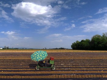 Tak Hanya Minyak, Perang AS-Iran Bawa 'Kiamat' Baru Bagi Dunia
