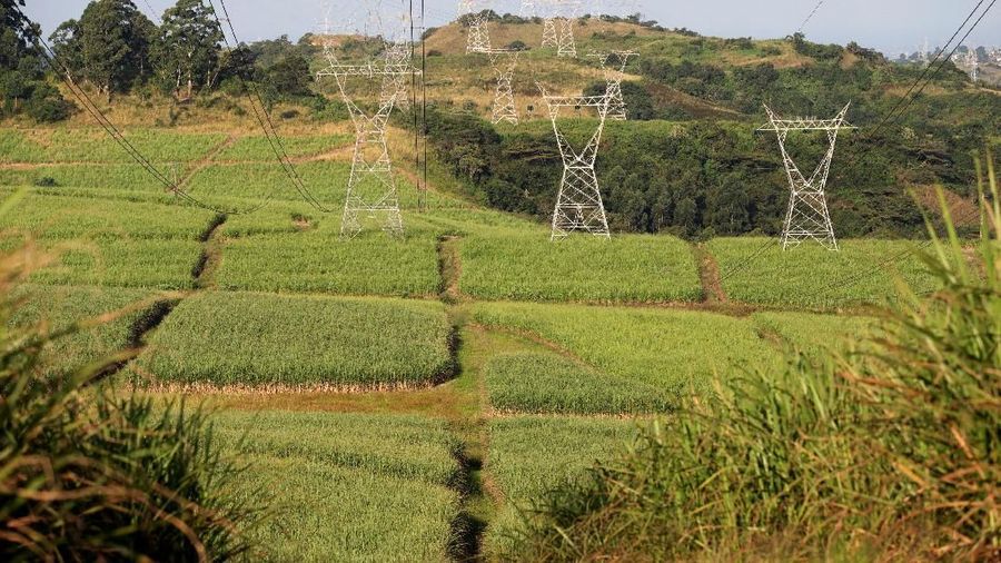 Power lines supplying electricity by stated owned Eskom run through sugar cane fields on a Tongaat Hulett farm in Shongweni, South Africa April 29, 2018. REUTERS/Rogan Ward