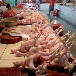 Bukan Cuma Cabai, Harga Daging Sampai Telur Ayam 'Terbang'