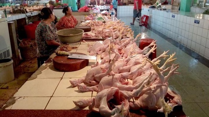 daging ayam ras daging ayam ras