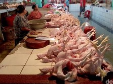 Harga Daging Ayam Terbang, Kena Efek Borong China & Ukraina?