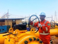 Akuisisi Pertagas, Dari Kemahalan Sampai Bahayakan Neraca PGN