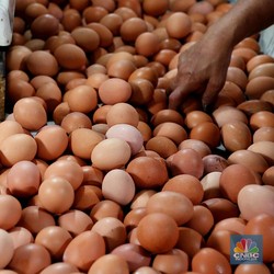 Doyan Makan Telur Bikin Kolesterol Tinggi, Mitos atau Fakta?