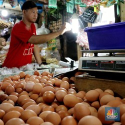 Konsensus Pasar: Inflasi Januari 0,5% MtM, 3,01% YoY