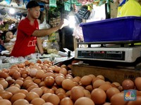 Konsensus Pasar: Inflasi Januari 0,5% MtM, 3,01% YoY