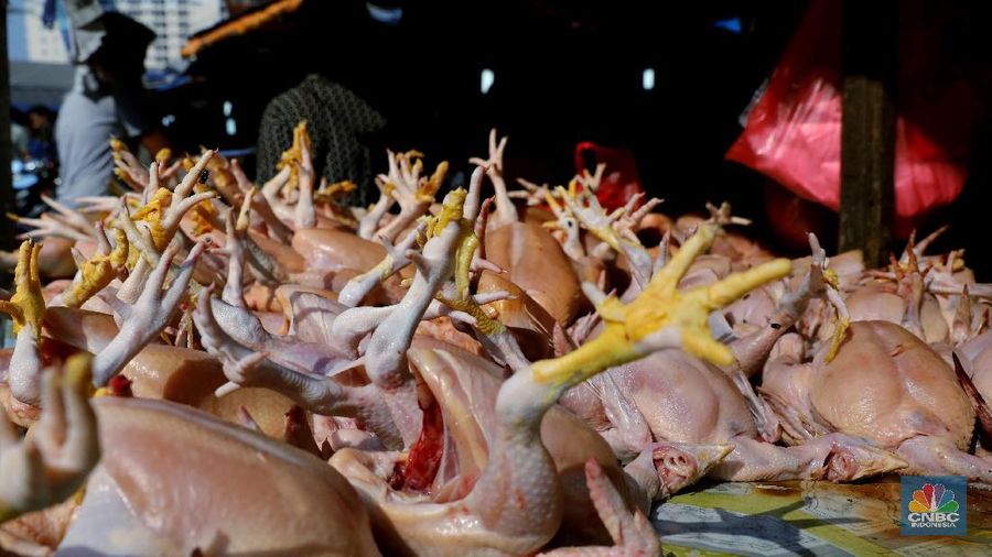 Harga bahan pangan naik menjelang bulan puasa, termasuk harga daging ayam di pasar tradisional.
