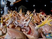 Pedagang: Harga Daging Ayam Naik, Bisa Sampai Rp 60.000/Kg