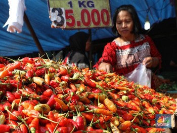 Inflasi Terkendali Atau Daya Beli Lemah?