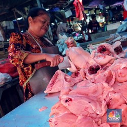 Sempat Heboh, RI Tegaskan Belum Buka Impor Daging Ayam Brasil