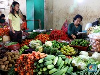 Harga Sembako Masih Naik, Pemerintah Keteteran Suplai Pasokan