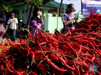 Sudah Turun 30% Lebih, Harga Cabai Diramal Berpotensi Naik
