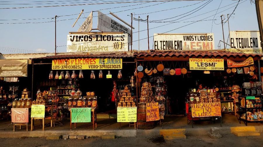 Agave merupakan spesies tumbuhan iklim kering yang digunakan sebagai bahan dasar pembuatan Tequila.