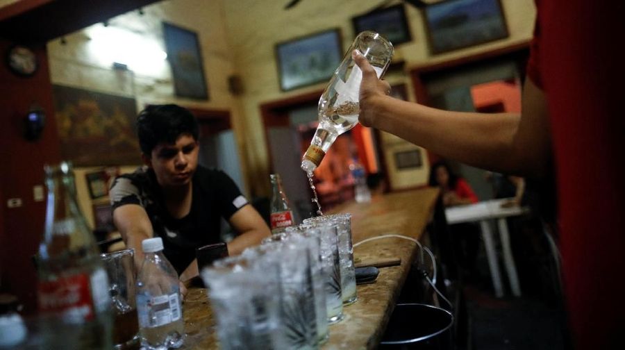 Agave merupakan spesies tumbuhan iklim kering yang digunakan sebagai bahan dasar pembuatan Tequila.