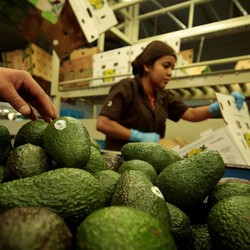 Terlalu Kurus? Ini 8 Jenis Makanan Penambah Berat Badan